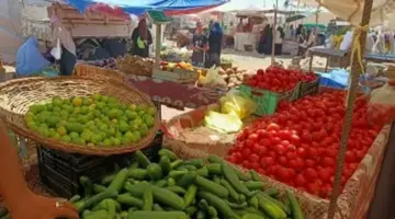 أسعار الخضراوات والفاكهة اليوم الاثنين 6 أبريل 2026 في محافظة المنوفية